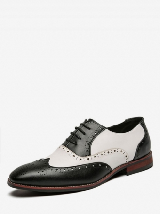 Obuv Oxfords Pre Mužov Moderné Okrúhle Remienok Na Špičku Nastaviteľná Pu Koža Špičky Krídiel Topánky Brogues