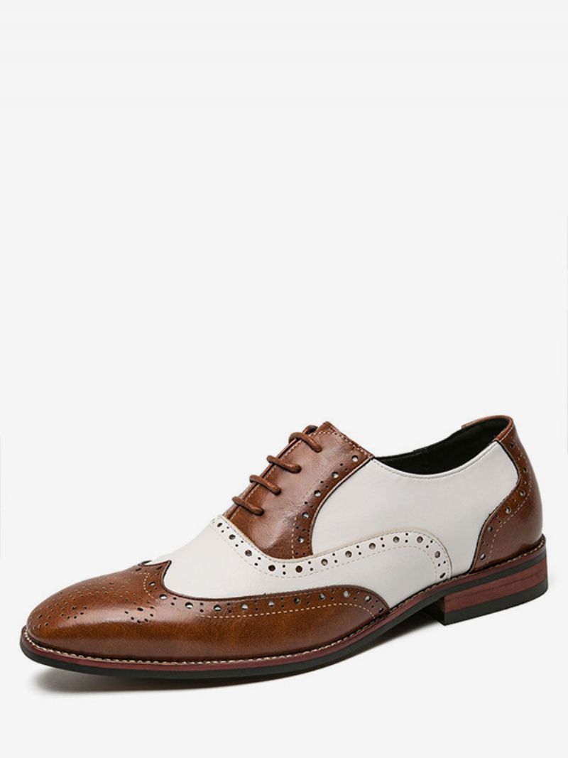 Obuv Oxfords Pre Mužov Moderné Okrúhle Remienok Na Špičku Nastaviteľná Pu Koža Špičky Krídiel Topánky Brogues - Káva Hnedá