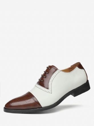 Pánske Svadobné Šaty Oxfords Cap Toe Brogue Biela